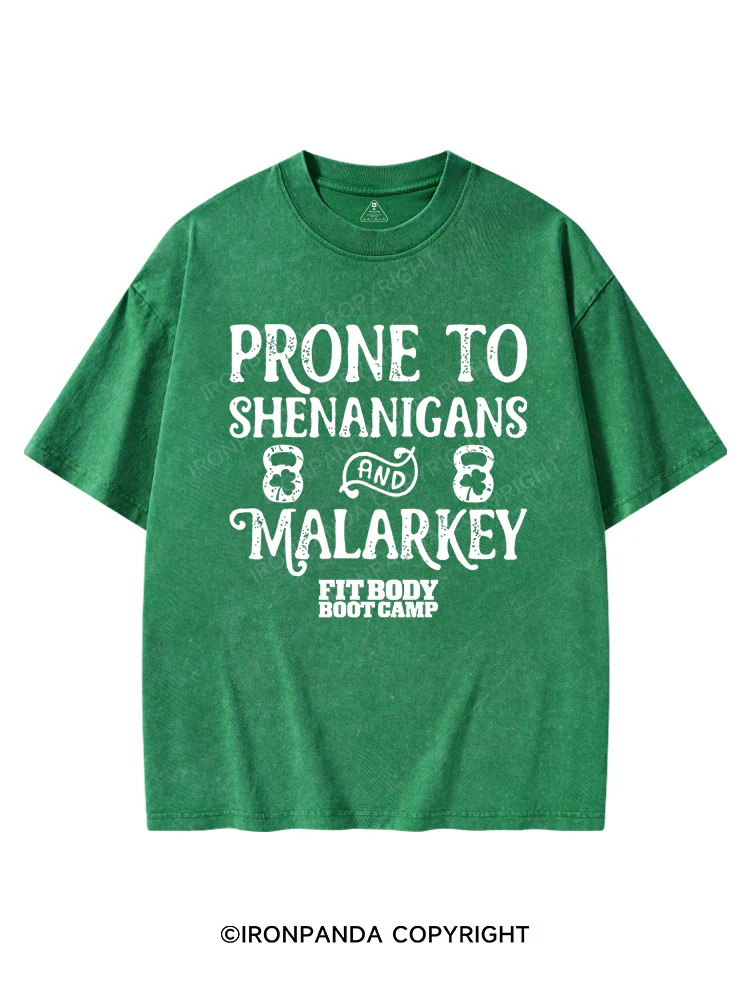 PRONE TO SHENANIGANS AND MALARKEY St Patrick's Washed Gym T-shirt
