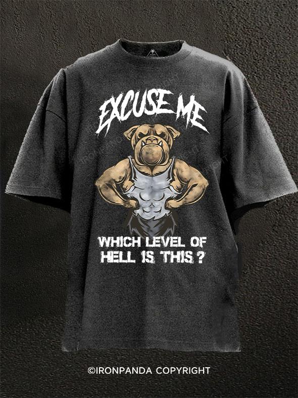 Excuse Me Which Level Of Hell Is This？ Washed Gym Shirt