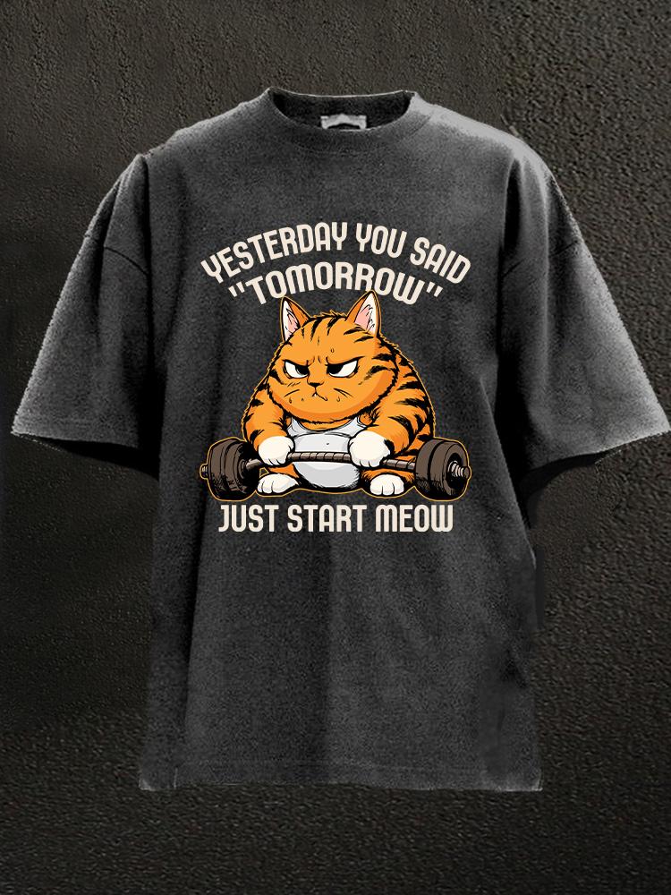 Start Meow Washed Gym Shirt